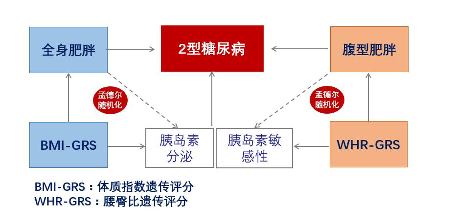 糖尿病3.jpg